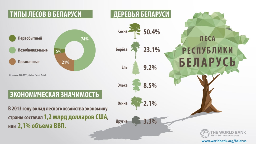 Какой процент территории занято лесами